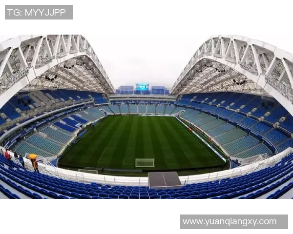 尼日利亚与俄罗斯的较量：足球场上的激情与荣耀之战