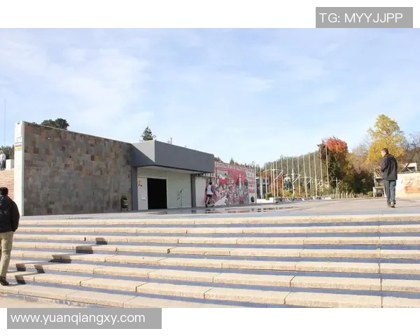 特木科与智利大学的较量：谁能在南美洲学术舞台上脱颖而出