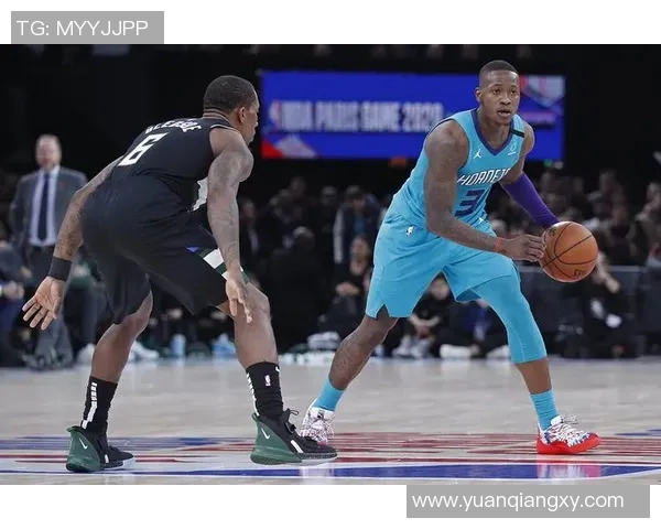 特里罗齐尔的篮球之路从新秀到明星的蜕变与成长故事