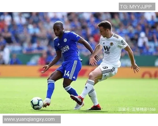 海牙主场迎战维特斯荷甲联赛精彩对决即将上演